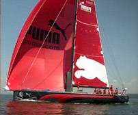 Honeyshed: Puma Sailing Jacket